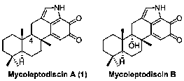 A kind of synthetic method of mycoleptodiscin A