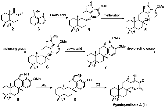 A kind of synthetic method of mycoleptodiscin A