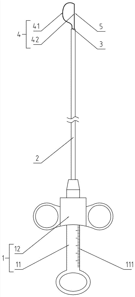 Gastroenterological endoscope loop carrier with scales