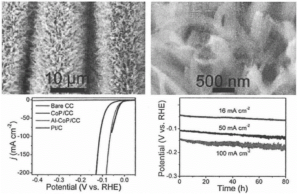 Water electrolytic hydrogen production catalytic electrode of self-supporting metal-doped cobalt phosphide nano structure