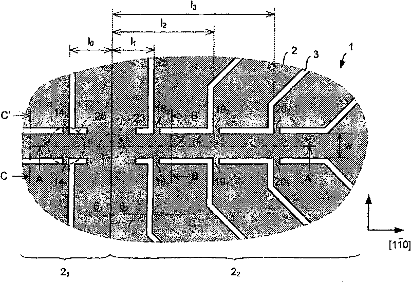 Spin-polarized charge carrier device