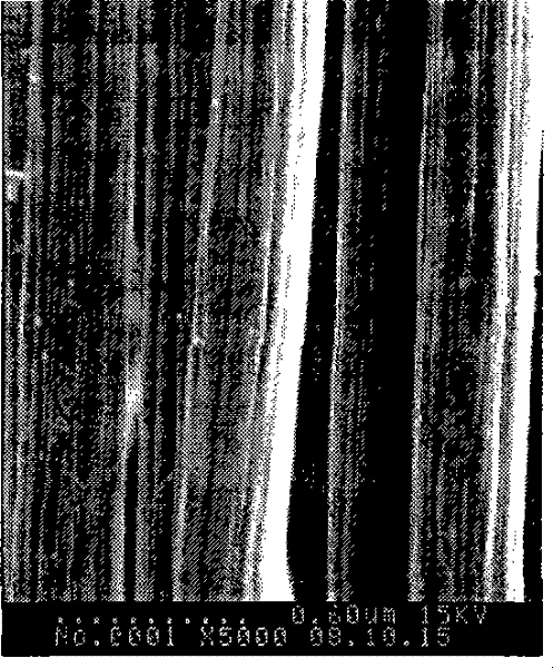 Method for carbon fiber surface modification of plasma coated with silicon dioxide by plasma treatment