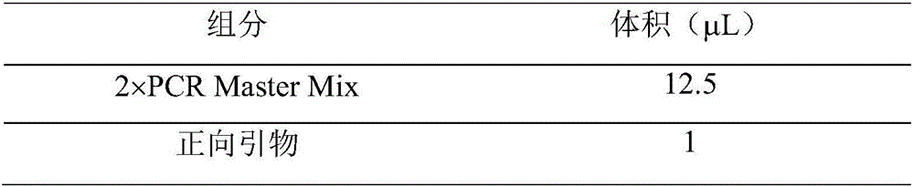 Real-time fluorescent quantitative PCR (polymerase chain reaction) identification reagent kit and identification method for bird's nest products