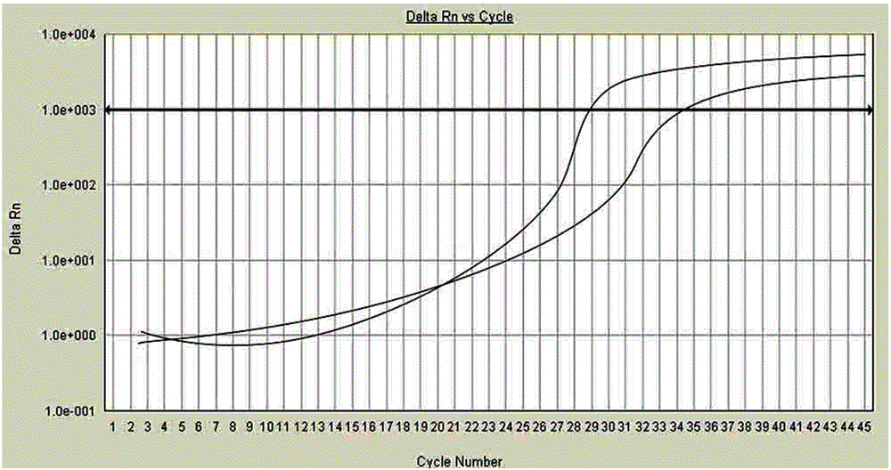 Real-time fluorescent quantitative PCR (polymerase chain reaction) identification reagent kit and identification method for bird's nest products