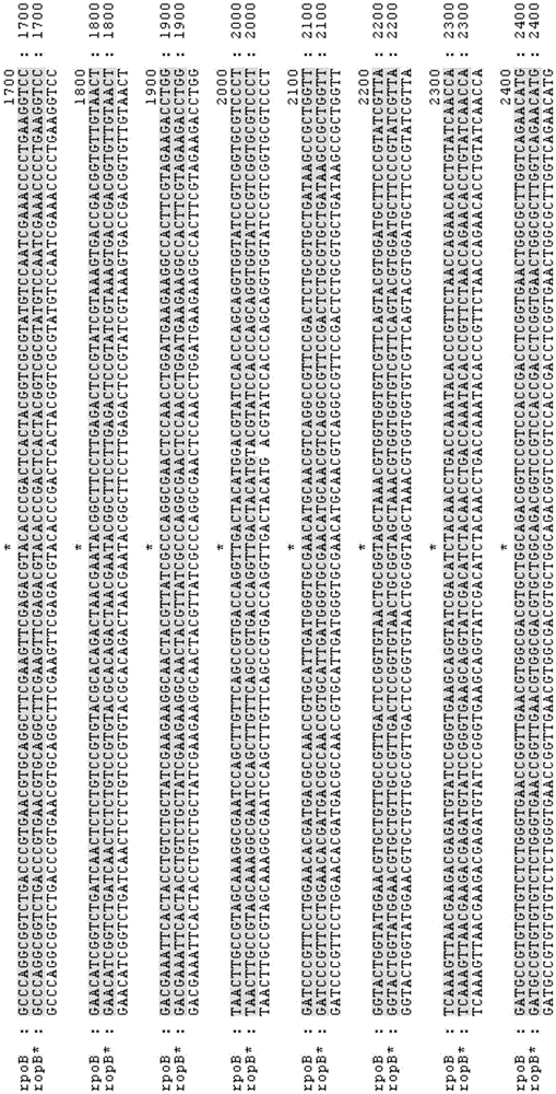 Recombinant escherichia coli with high osmotic pressure resistance and application thereof