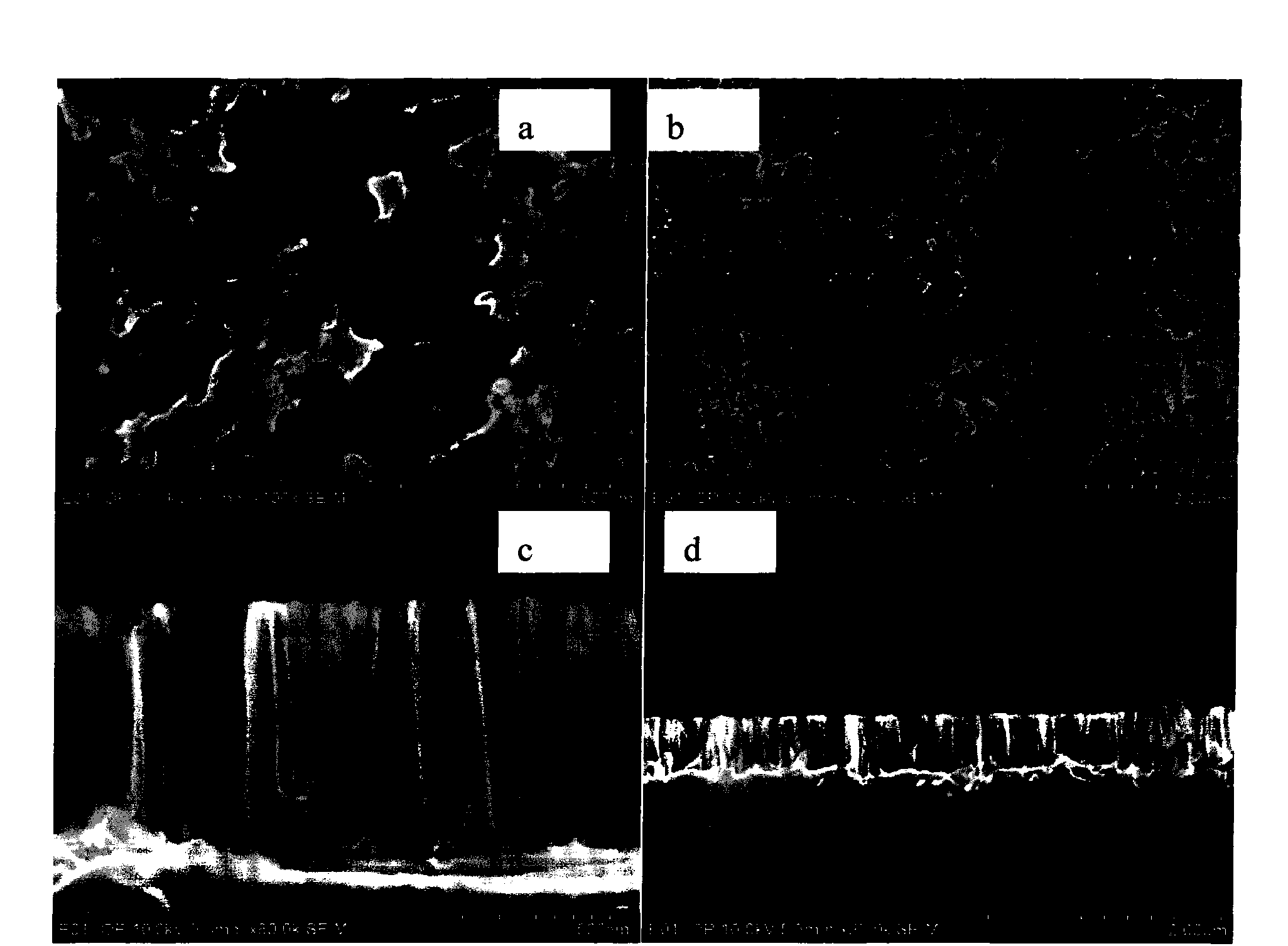 Negative electrode material used for lithium battery and preparation method and application thereof