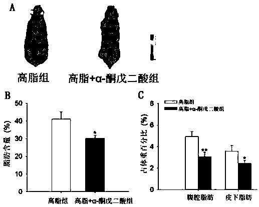 Application of alpha-oxoglutarate to improving heat production capability of fat animals and reducing body fat content