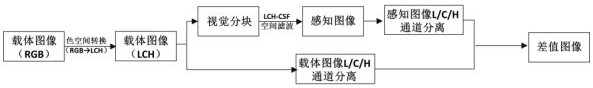 Color Watermark Embedding and Extraction Method Based on Human Vision Characteristics