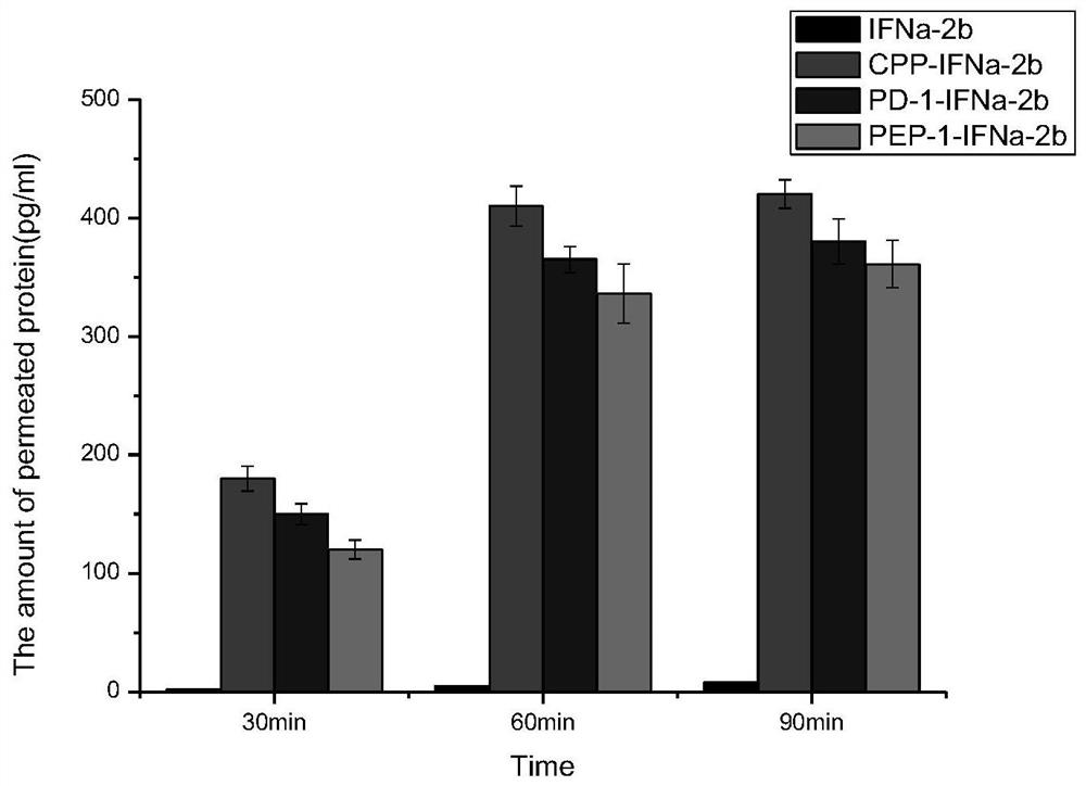 A cell penetrating peptide and transdermal interferon