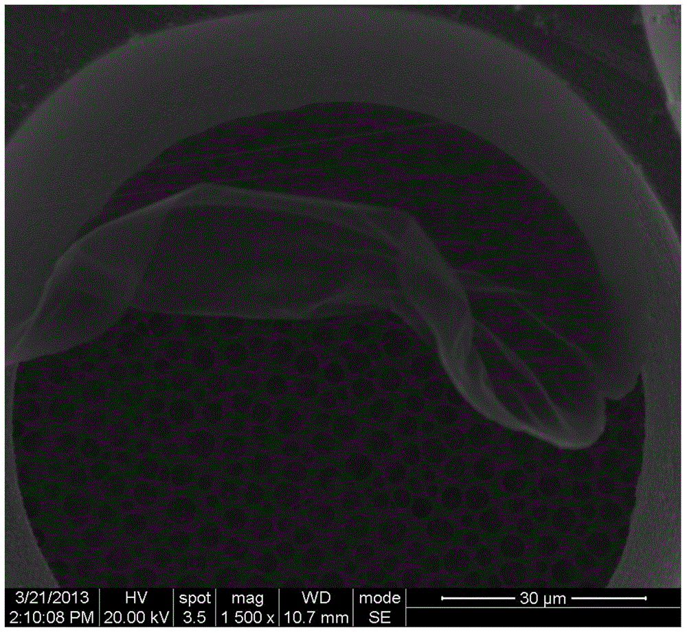 Superhigh water-soluble functionalized graphene/oxidized graphene and preparation method thereof