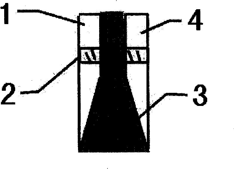 Double-blade skate