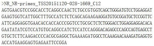 Irisin recombinant protein and synthetic method thereof