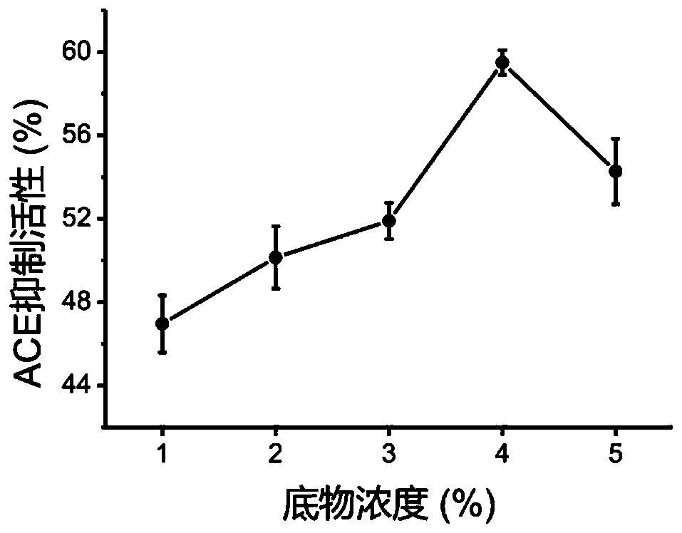 Method for preparing antihypertensive peptide by enzymolysis of walnut meal with compound protease