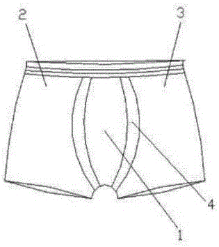 Underpants with concave part adaptive to male genital organ