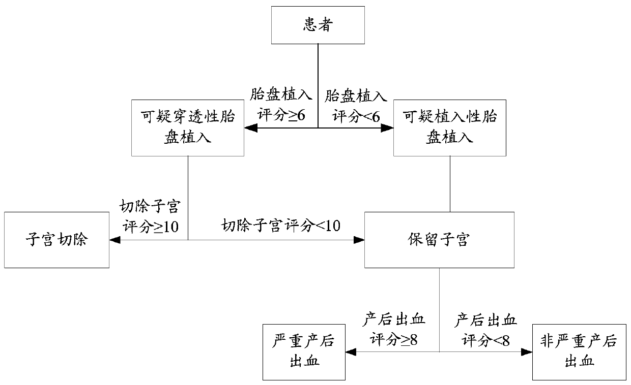 Treatment method and apparatus for placenta implantation patient