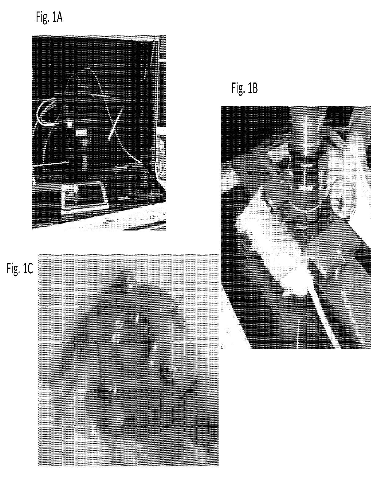 Carbon Nanotubes for Imaging and Drug Delivery