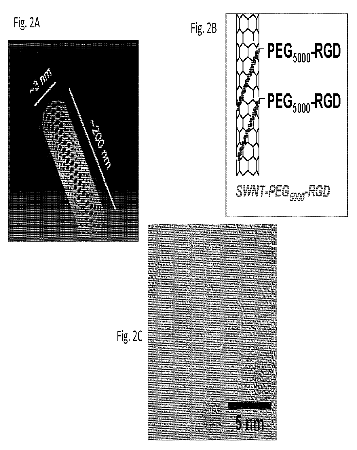 Carbon Nanotubes for Imaging and Drug Delivery