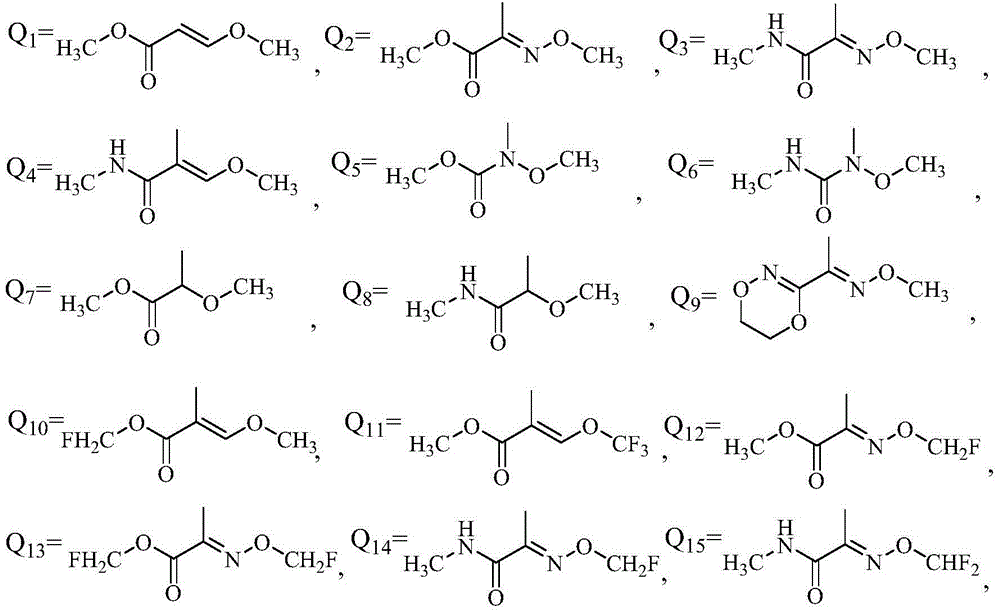 Application of phenyl ether compound with antitumor activity