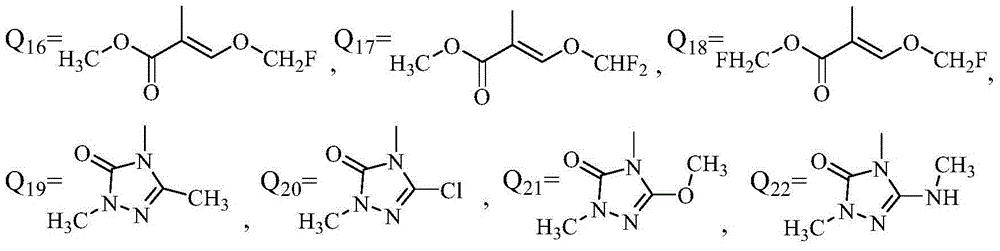 Application of phenyl ether compound with antitumor activity