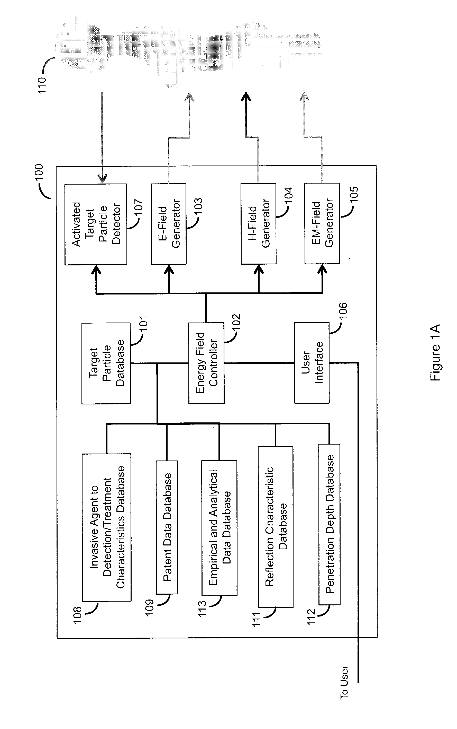 System for correlating energy field characteristics with target particle characteristics in the application of an energy field to a living organism for treatment of invasive agents