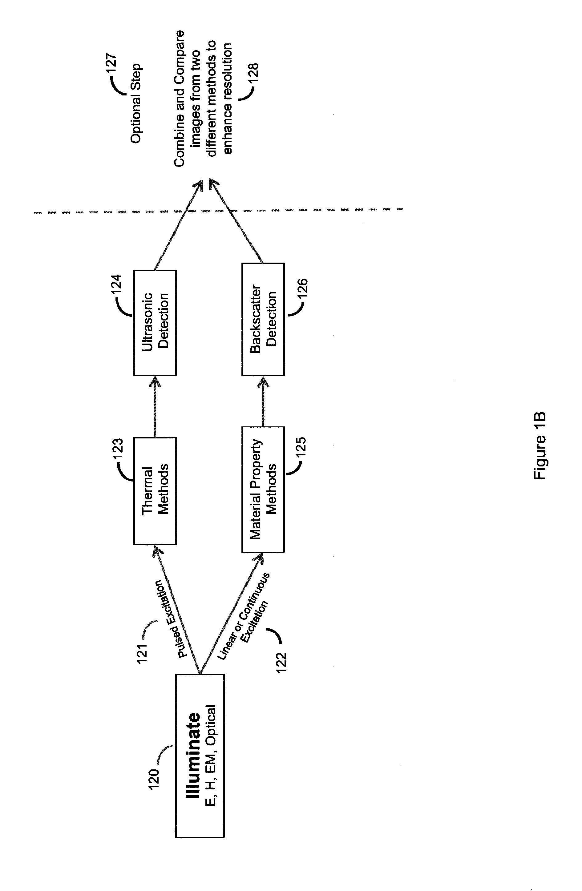 System for correlating energy field characteristics with target particle characteristics in the application of an energy field to a living organism for treatment of invasive agents