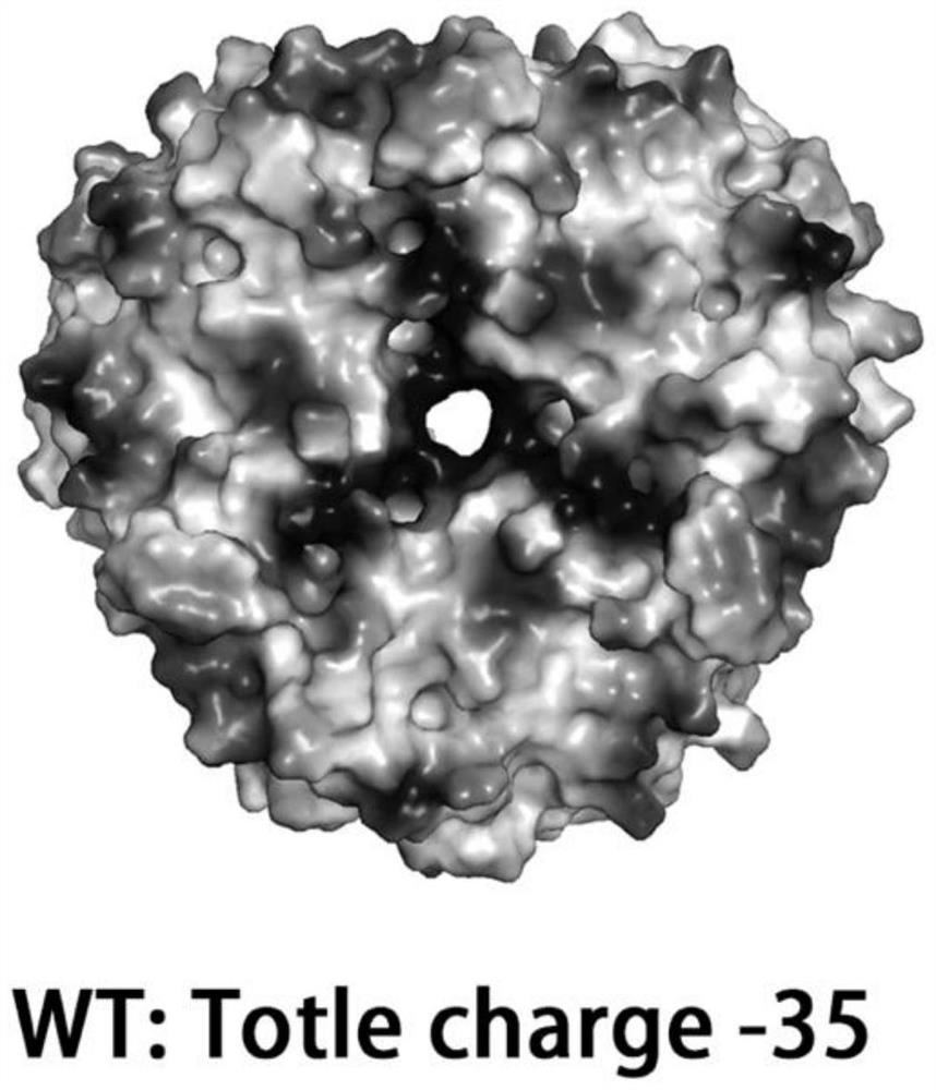 Chitosan deacetylase combined mutant with optimal pH reduction and application