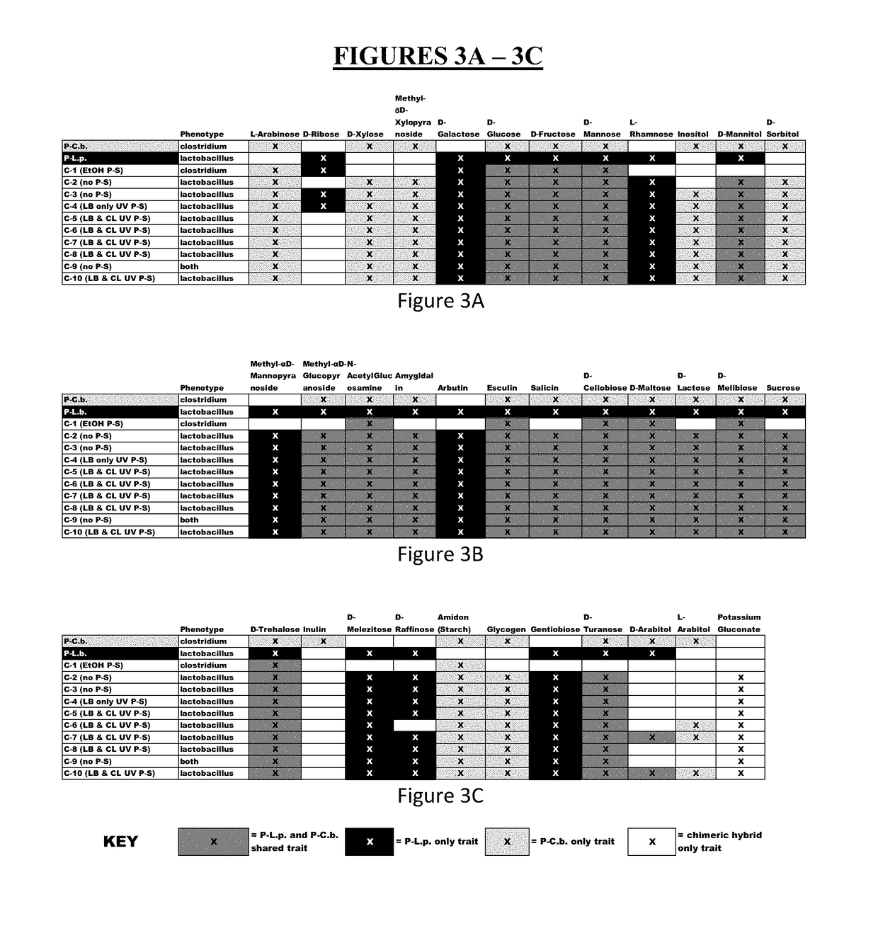 Method for Producing Chimeric Microbial Hybrids