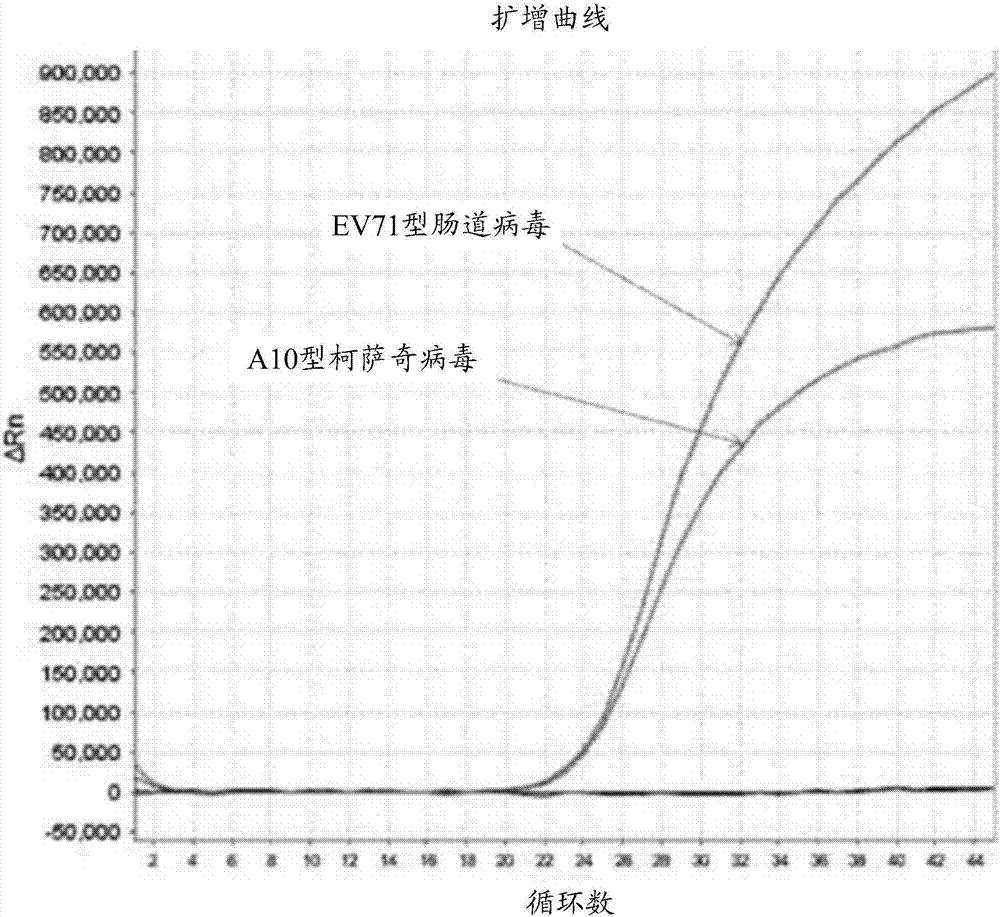 Detection reagent and kit for simultaneously detecting EV71 type enterovirus and A10 type coxsackie virus