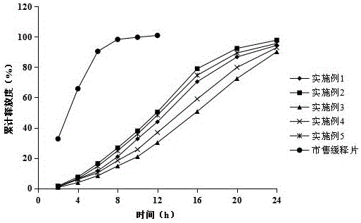 Fluvastatin sodium micro-porous osmotic pump controlled release tablet and preparing method thereof