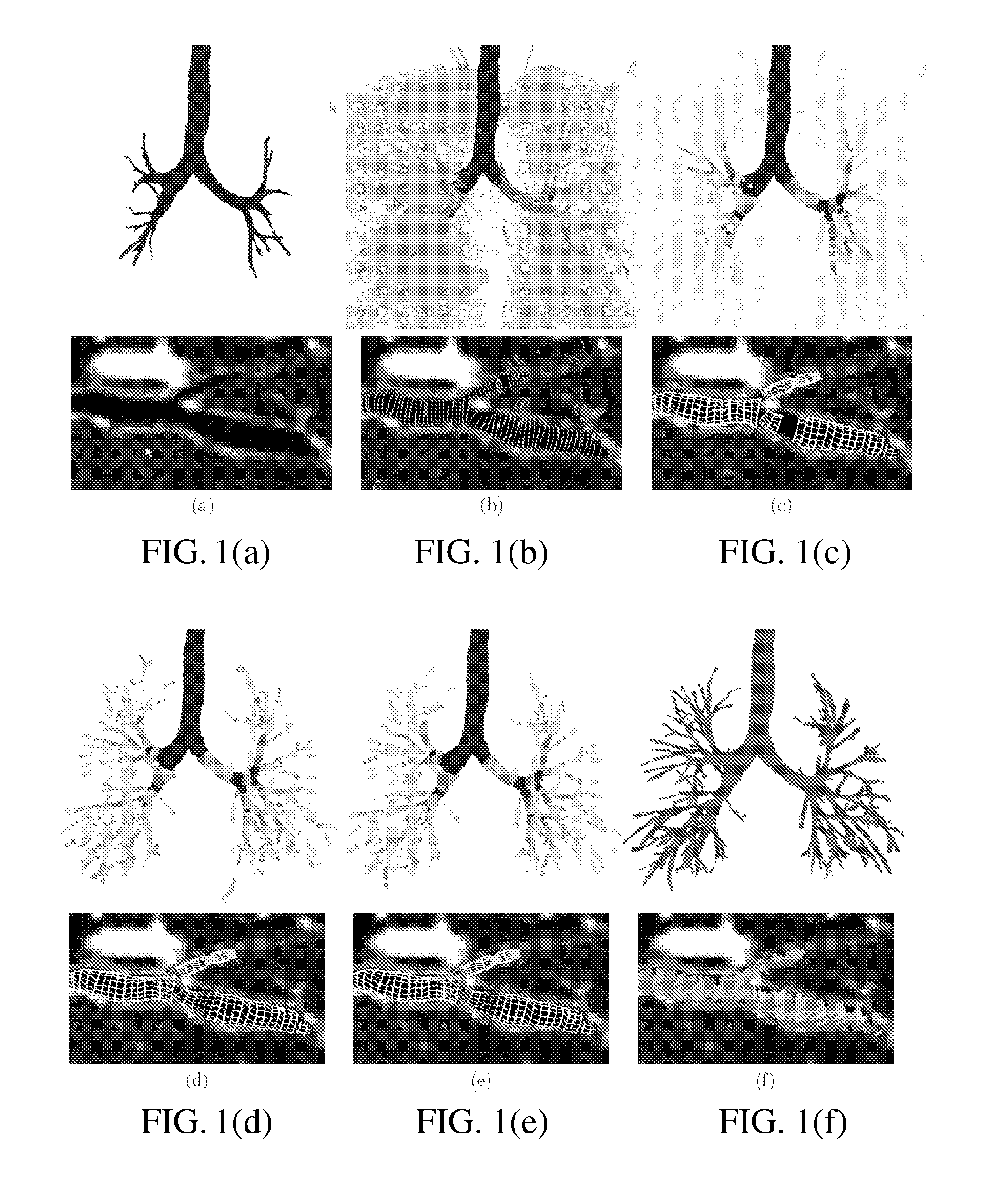 Medical image reporting system and method