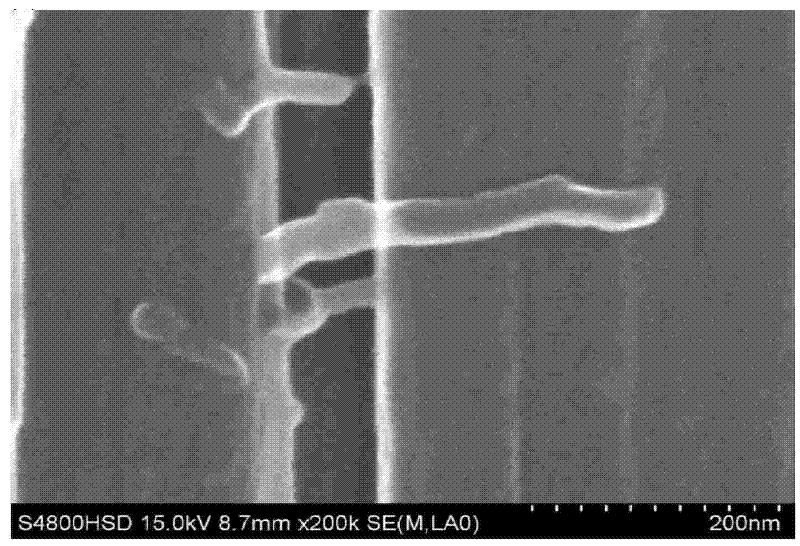 Preparation method of root-like carbon nanotube grafting carbon fiber reinforcement
