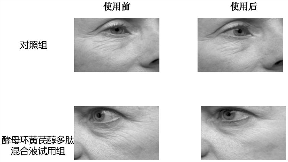 Method for producing yeast cycloastragenol polypeptide mixture and its anti-aging application