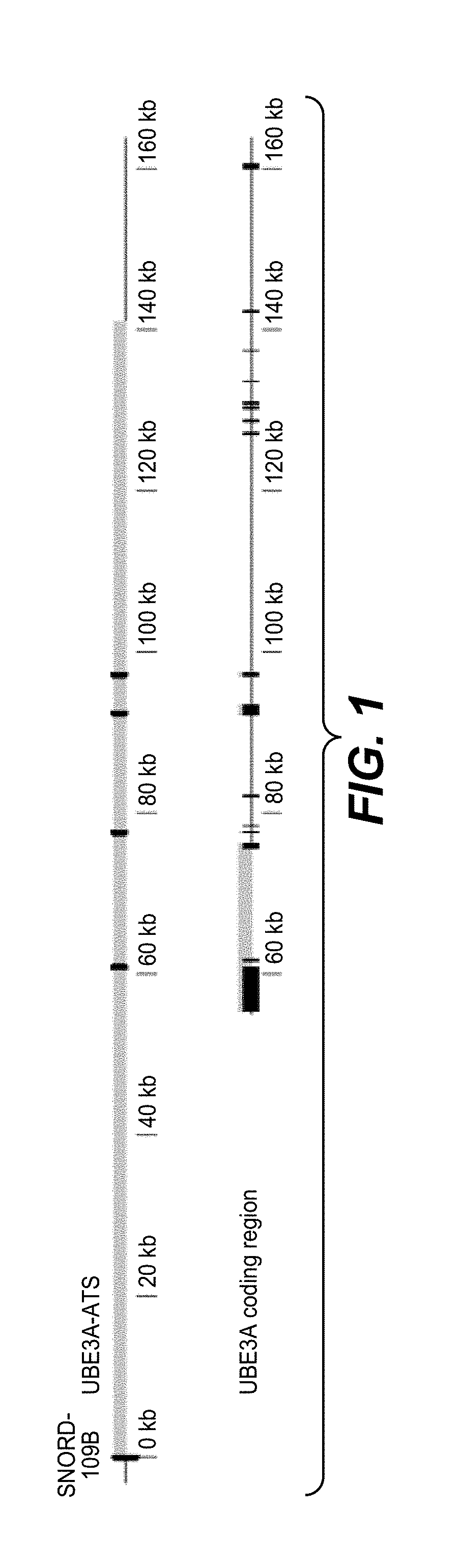 Methods for determining the efficacy profile of a drug candidate