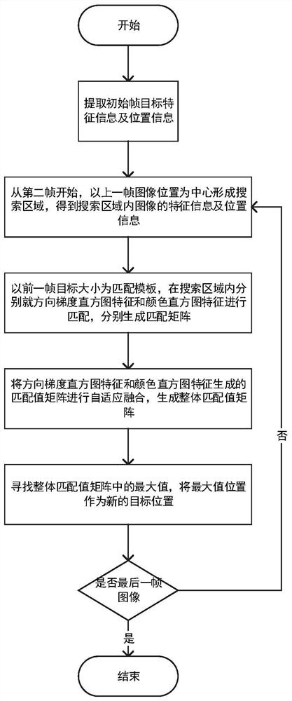 Adaptive fusion complementary learning real-time tracking method based on target probability model