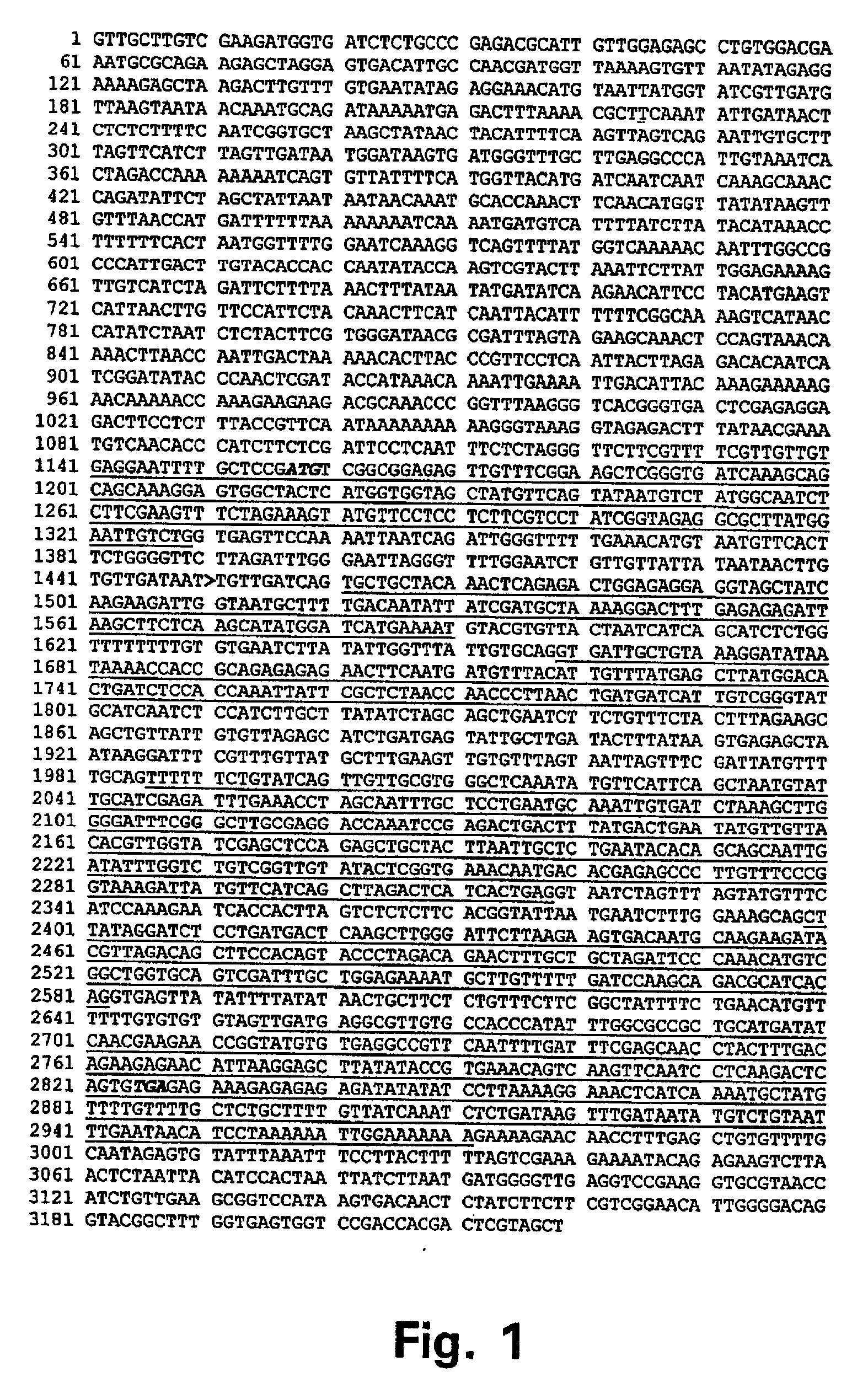 Method of using MAPK4 and orthologues thereof to control plant disease resistance and plant growth