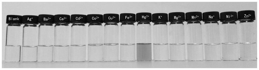 A fluorescent probe for detecting mercury ions and its preparation method and application