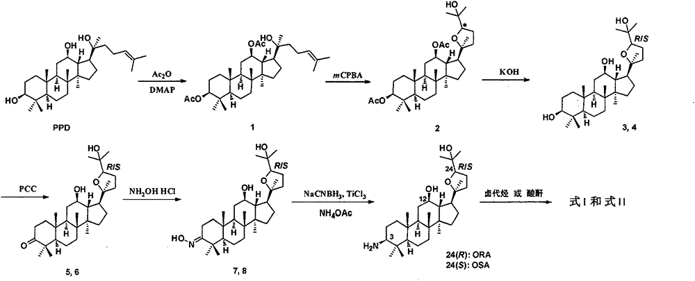 Preparation method and use of (20S, 24R/S)-epoxy-12 beta, 25-hydroxy-dammarane-3 beta-amine derivatives