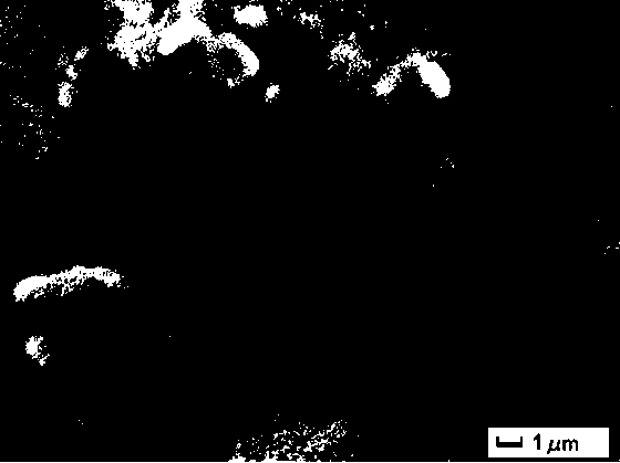 Nano silicon carbide and nano cerium oxide synergetically enhanced metal matrix micro-nano powder and preparing method thereof