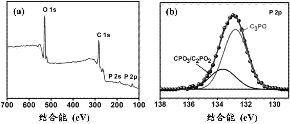 Phosphorus-doped graphene quantum dot-graphite phase carbon nitride p-n junction photocatalyst as well as preparation method and application thereof
