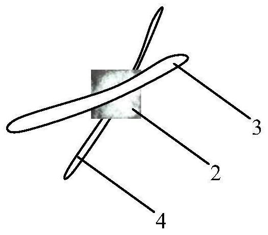 Polyester cotton for cranial nerve microvascular decompression and application thereof