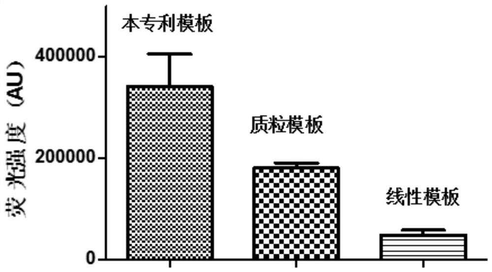 DNA composite hydrogel and preparation method thereof