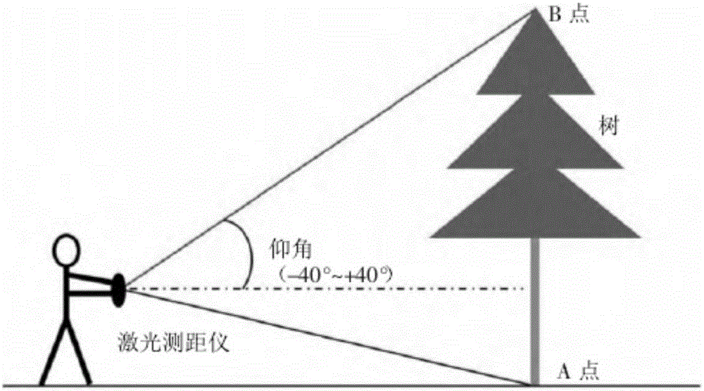 Tree obstacle measurement system and method used for overhead transmission line