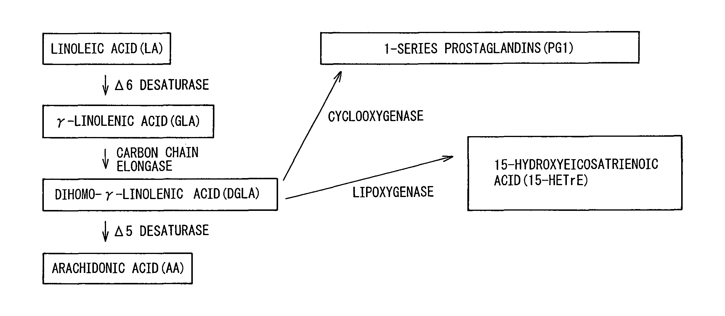 Composition comprising dihomo-γ-linolenic acid (DGLA) as active ingredient