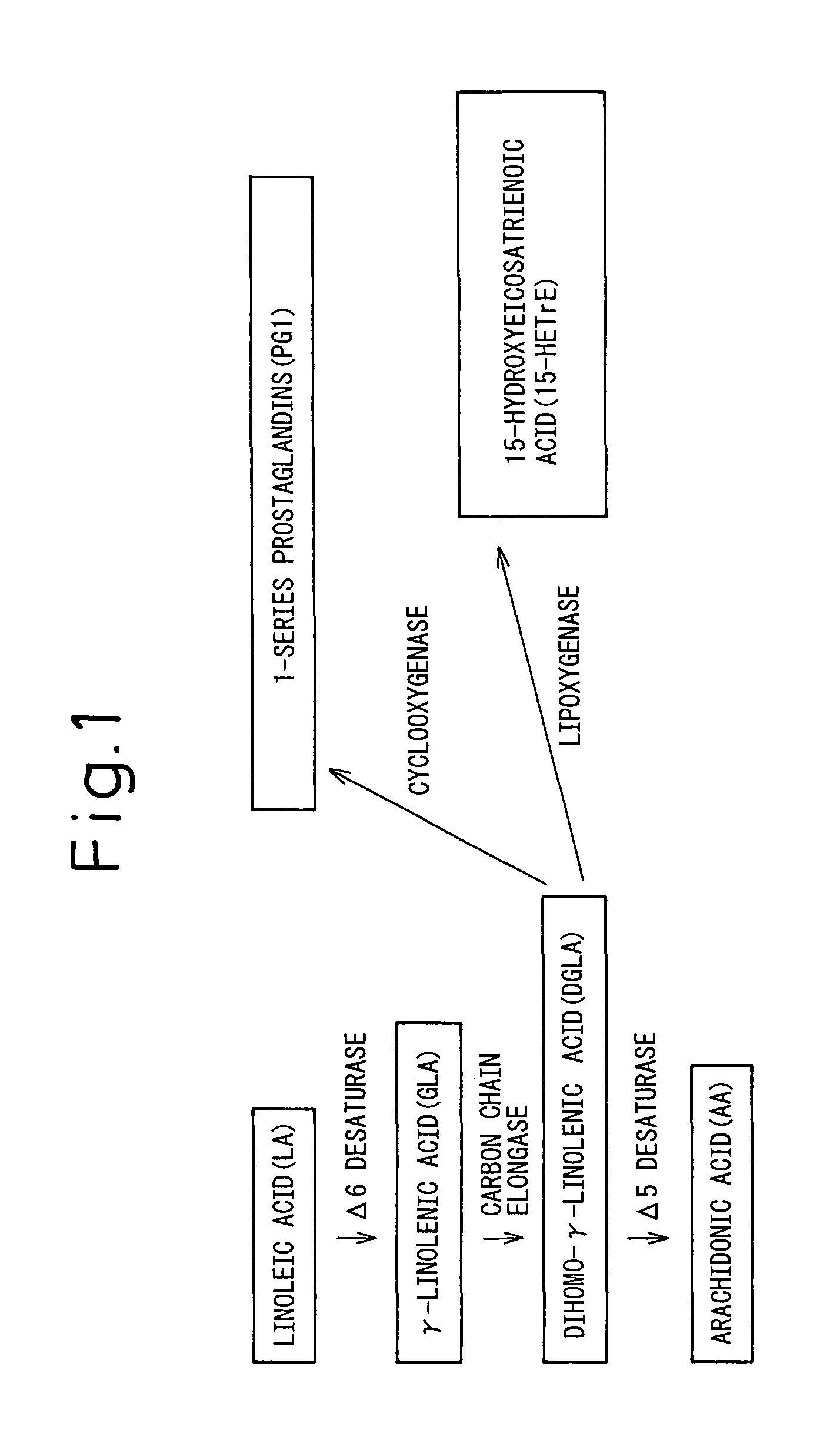 Composition comprising dihomo-γ-linolenic acid (DGLA) as active ingredient