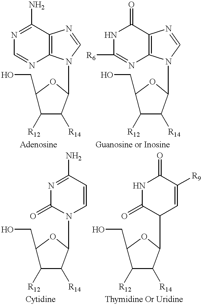 Structural analogs of amine bases and nucleosides