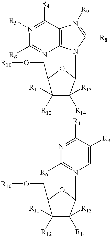 Structural analogs of amine bases and nucleosides