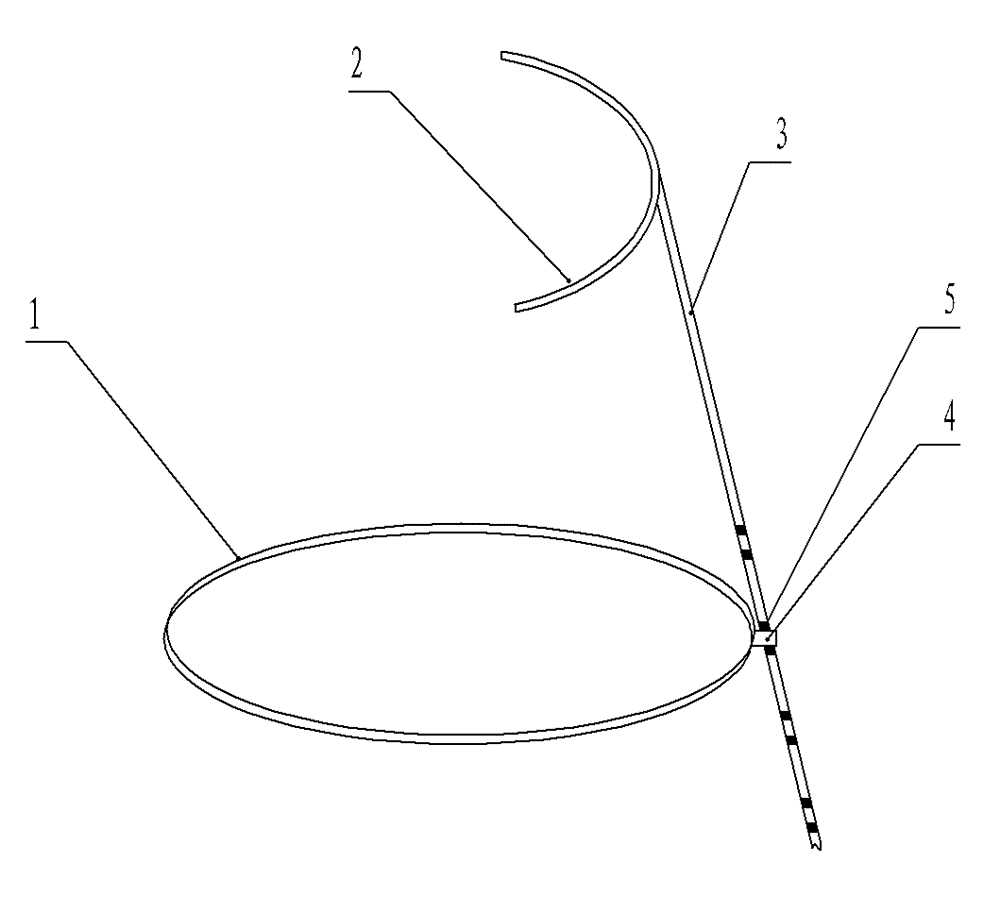 Pollen pini collecting device