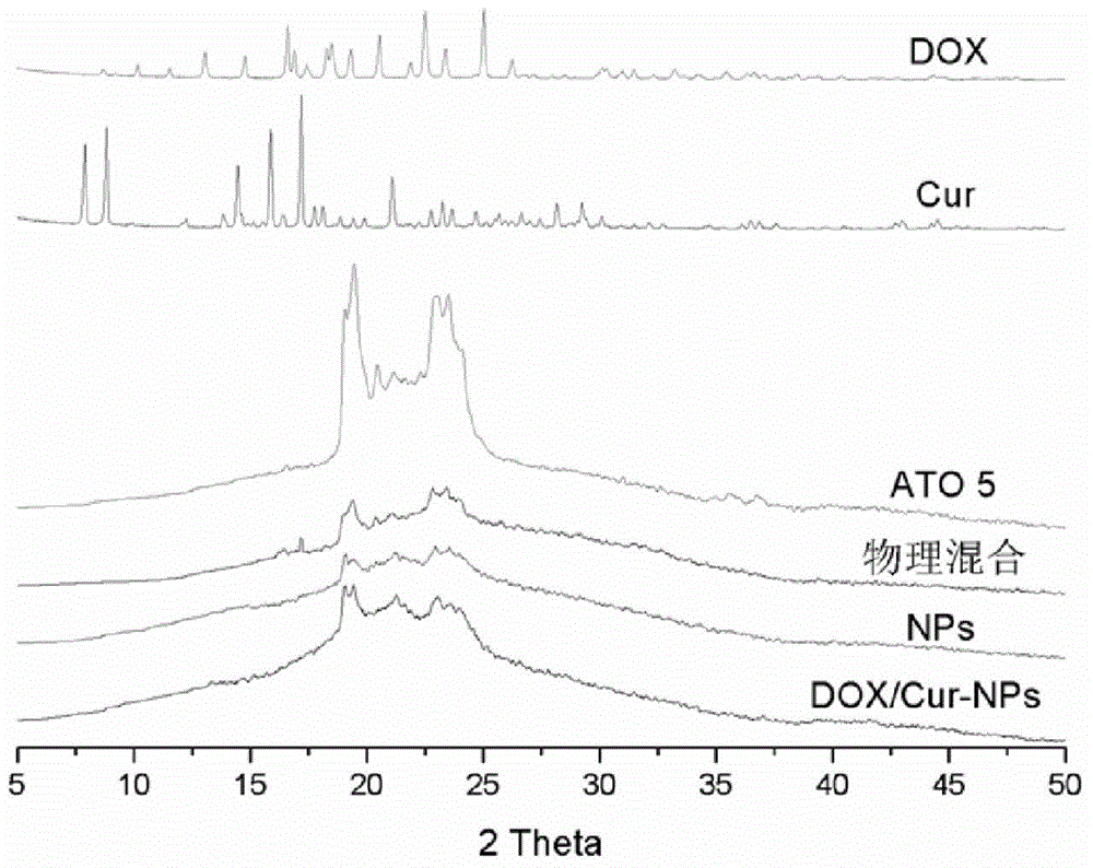 Adriamycin nano drug delivery system as well as preparation method and application thereof