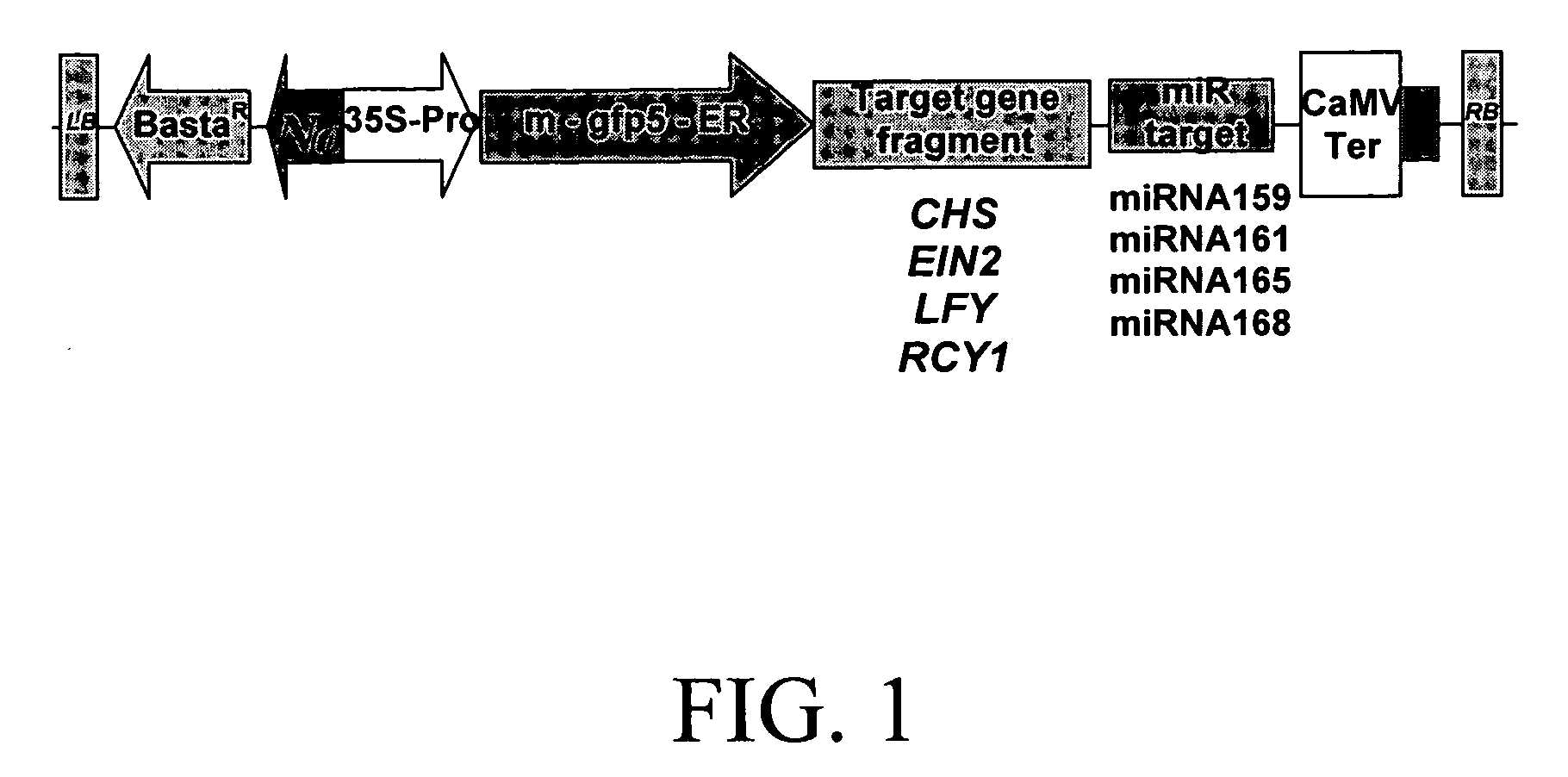 Methods and compositions for gene silencing