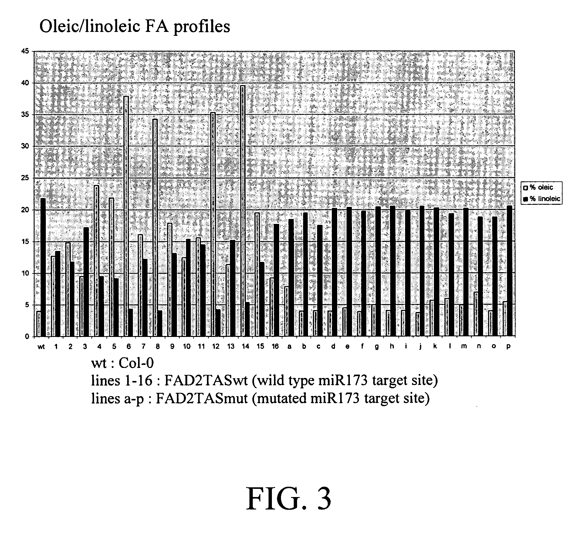 Methods and compositions for gene silencing